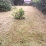 Garden Clearance - FACE Faversham