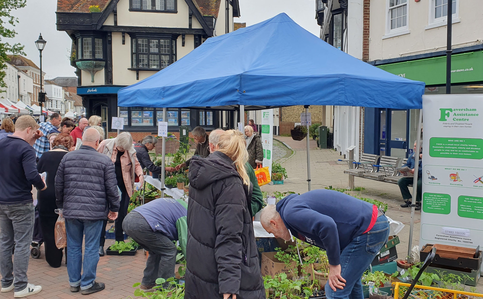 You are currently viewing Market Plant Stall 2023